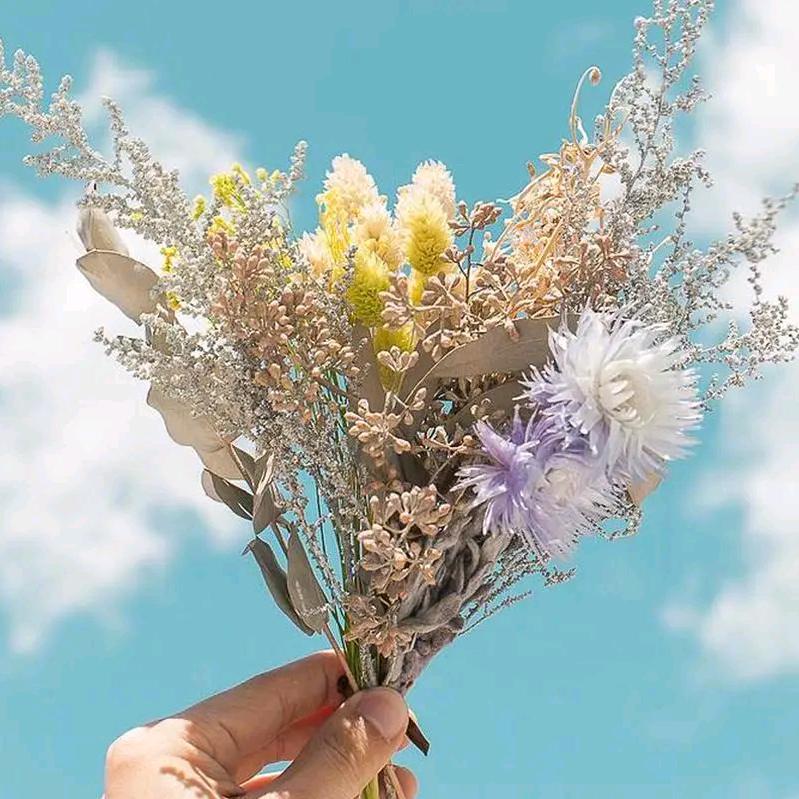 薰衣草—恋