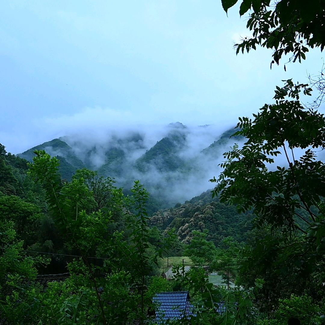 锦依偎
