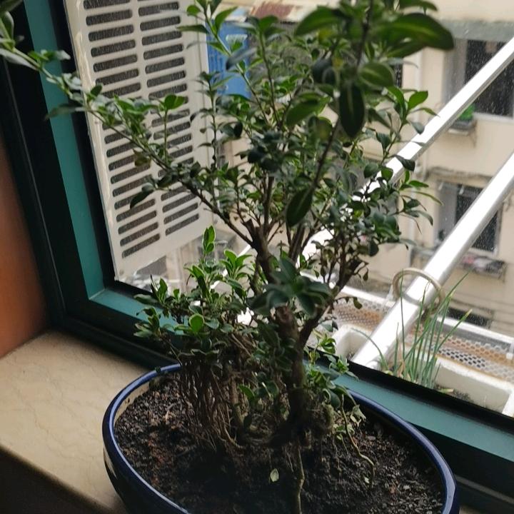 平安，一切安好