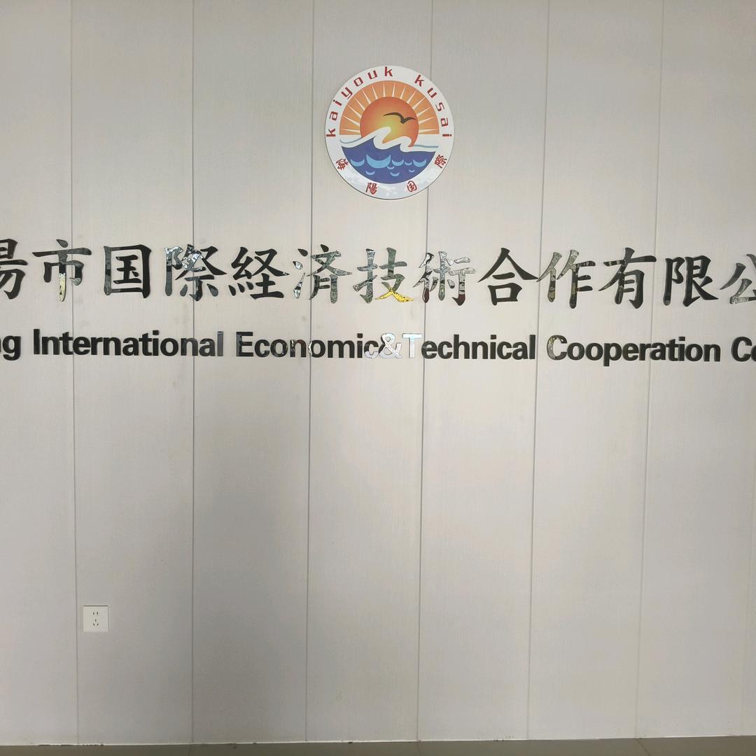 海阳国际经济技术