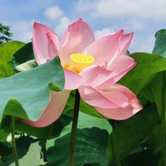 🌈🧚‍♀️天使🧚‍♀️🌈