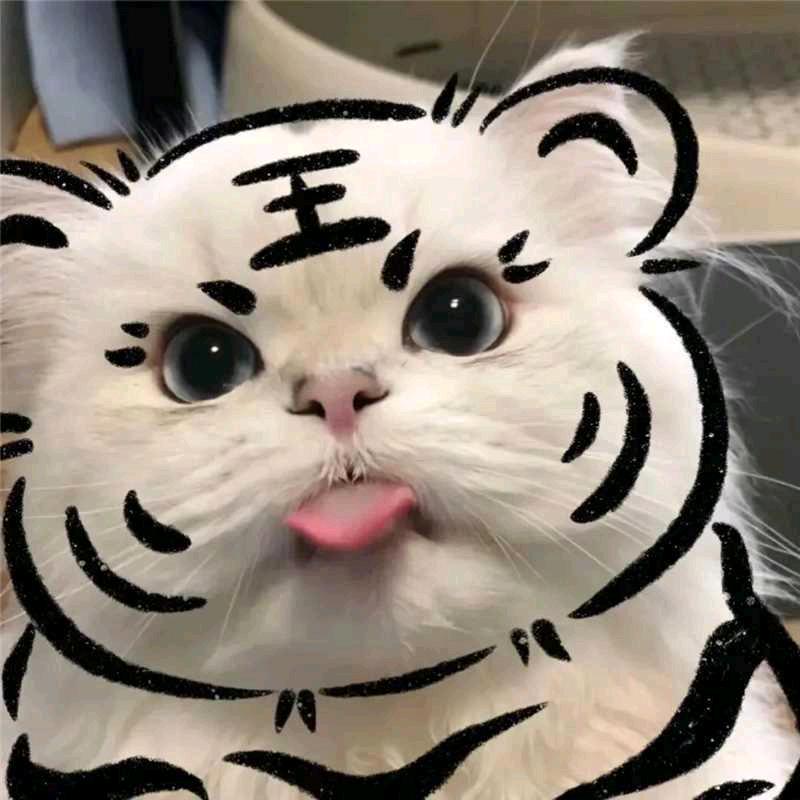 黎哥智慧书单