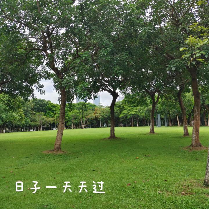 吴美宸