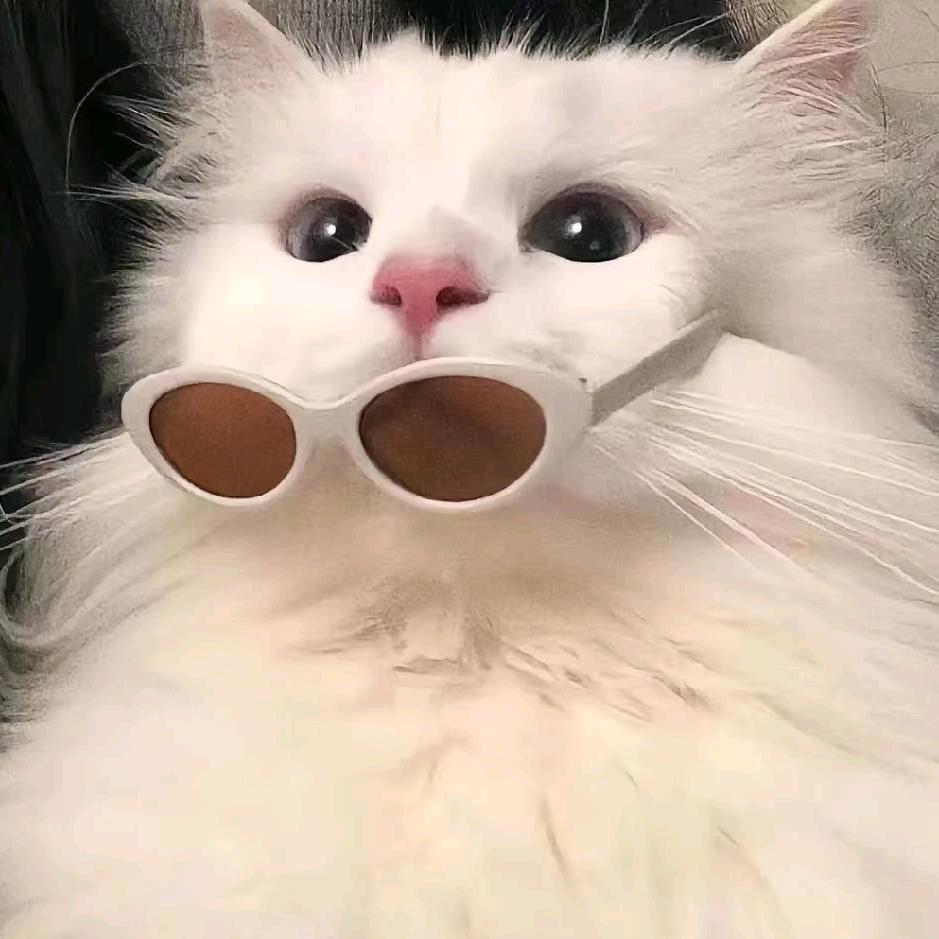 💰