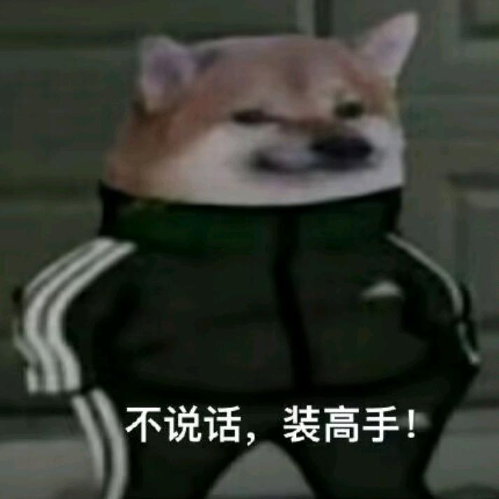 泗河第一高手