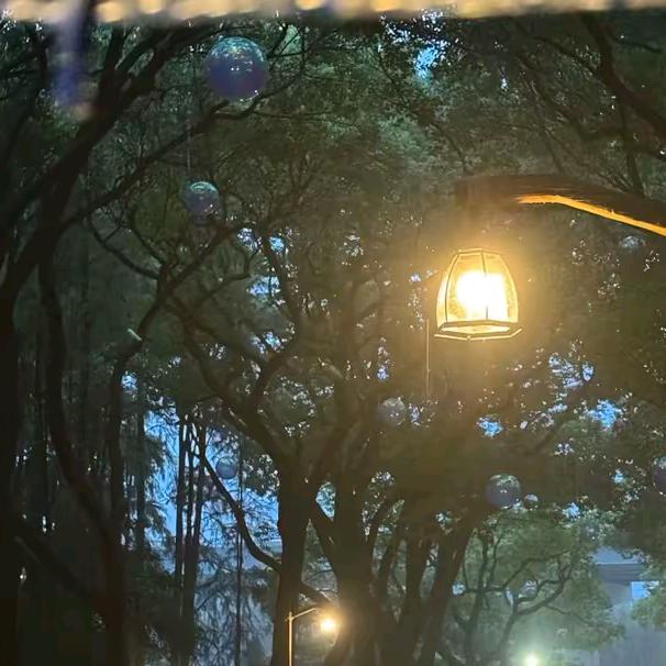 飞鱼头像