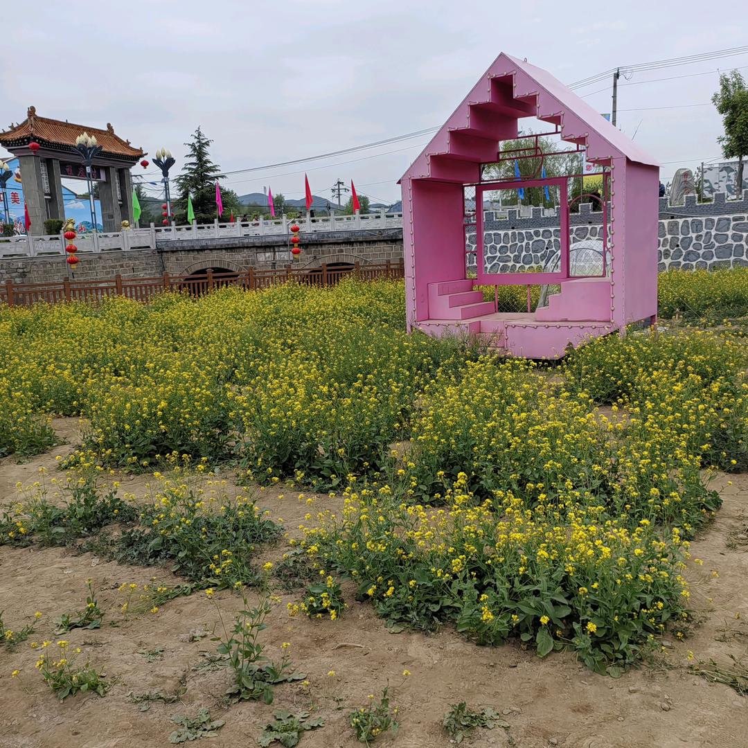 老子想给谁评论就评论