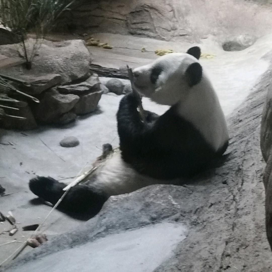 小韩同志