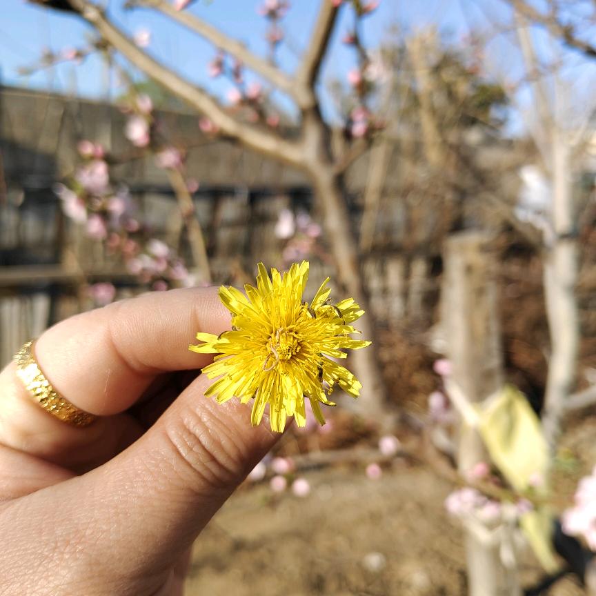 😊悦悦