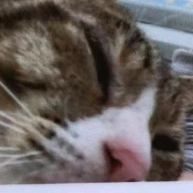 炒面加刀片