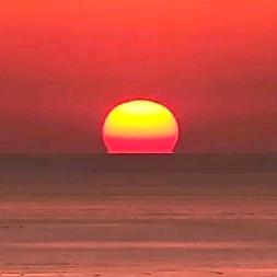 惜岁