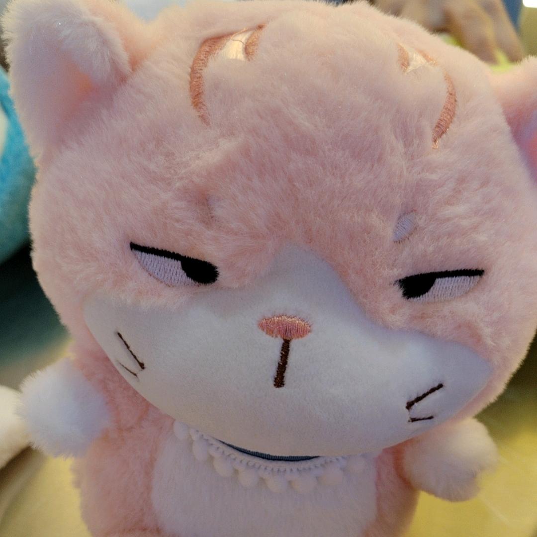 柠退网我即退网