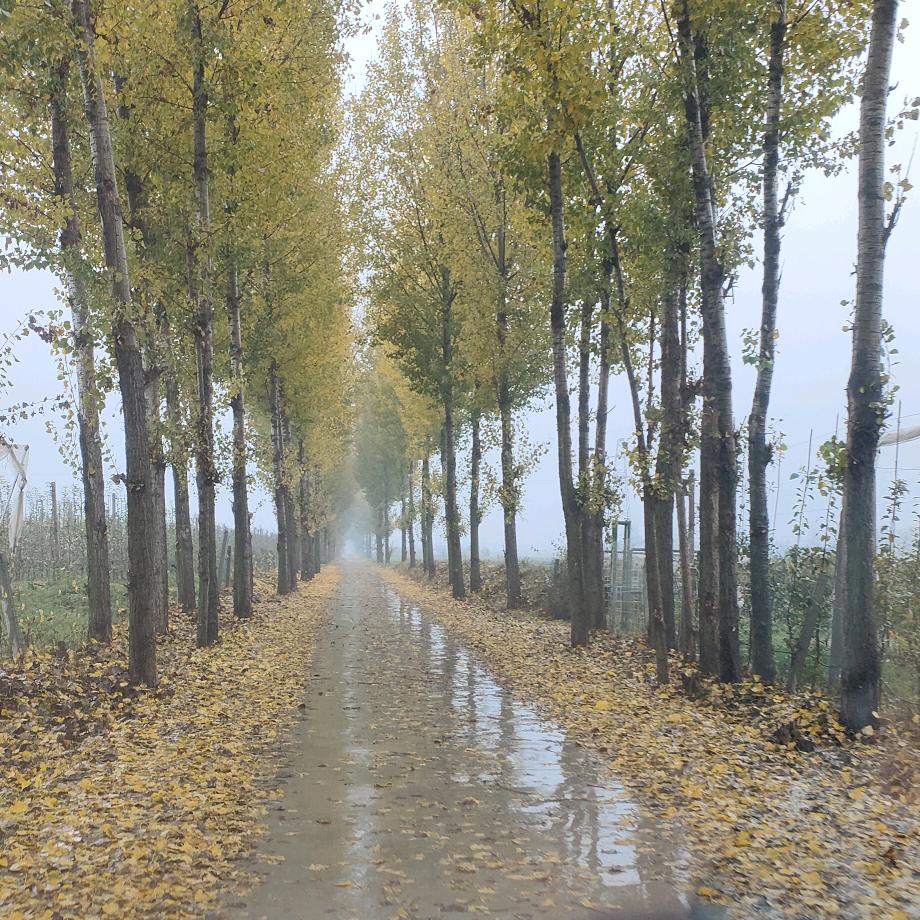 ꧁对方是我大舅▓😃😃😃‰