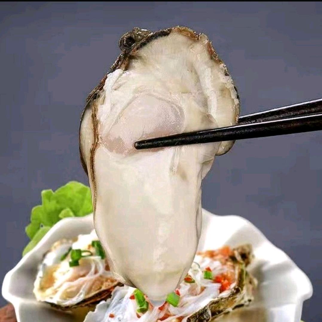 重庆蚝运生蚝批发
