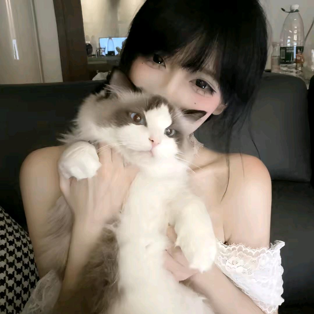 带朵茉莉走吧