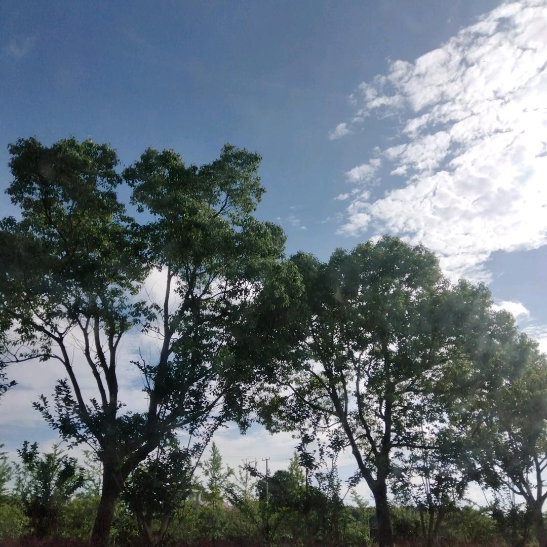 万紫千红（全屋定制安装）