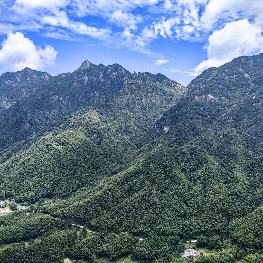 楠难吖，，，