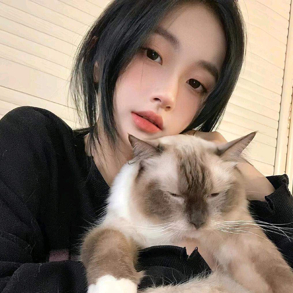 呆呆困❤