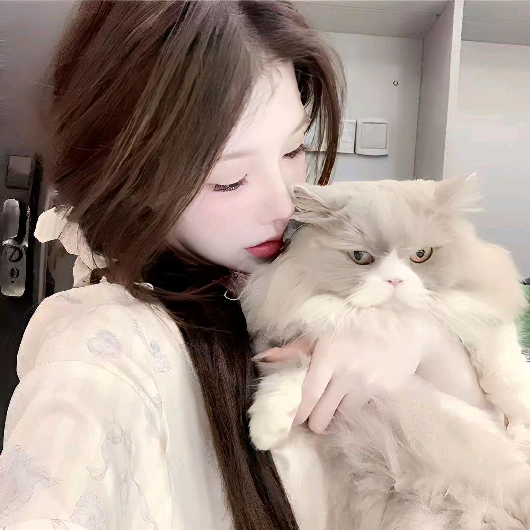 安琪