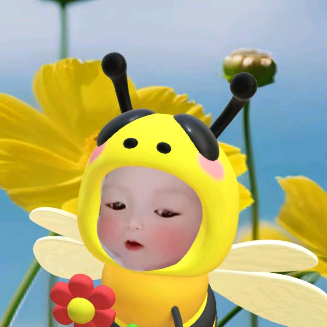 榄菊