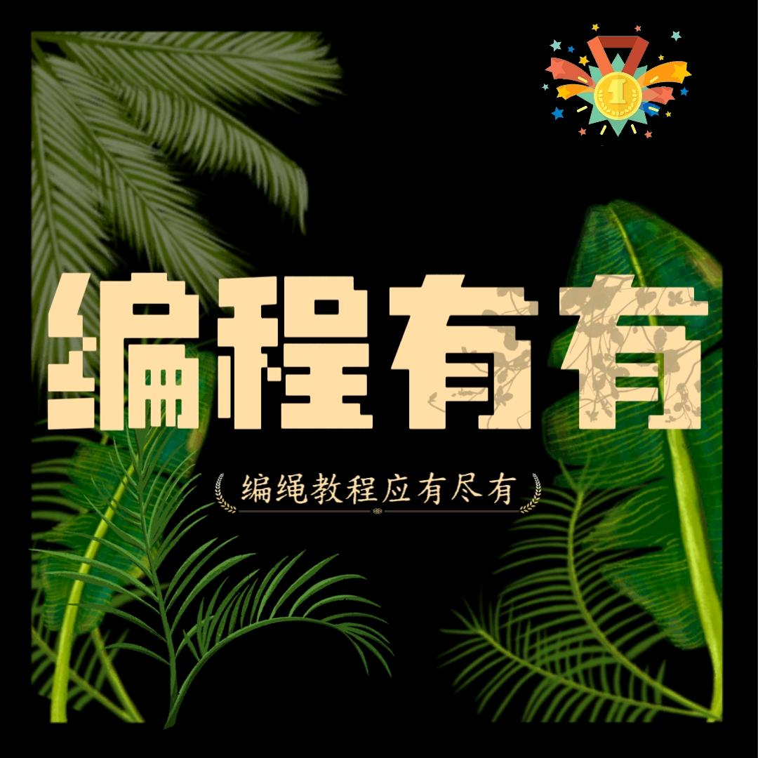编程有有