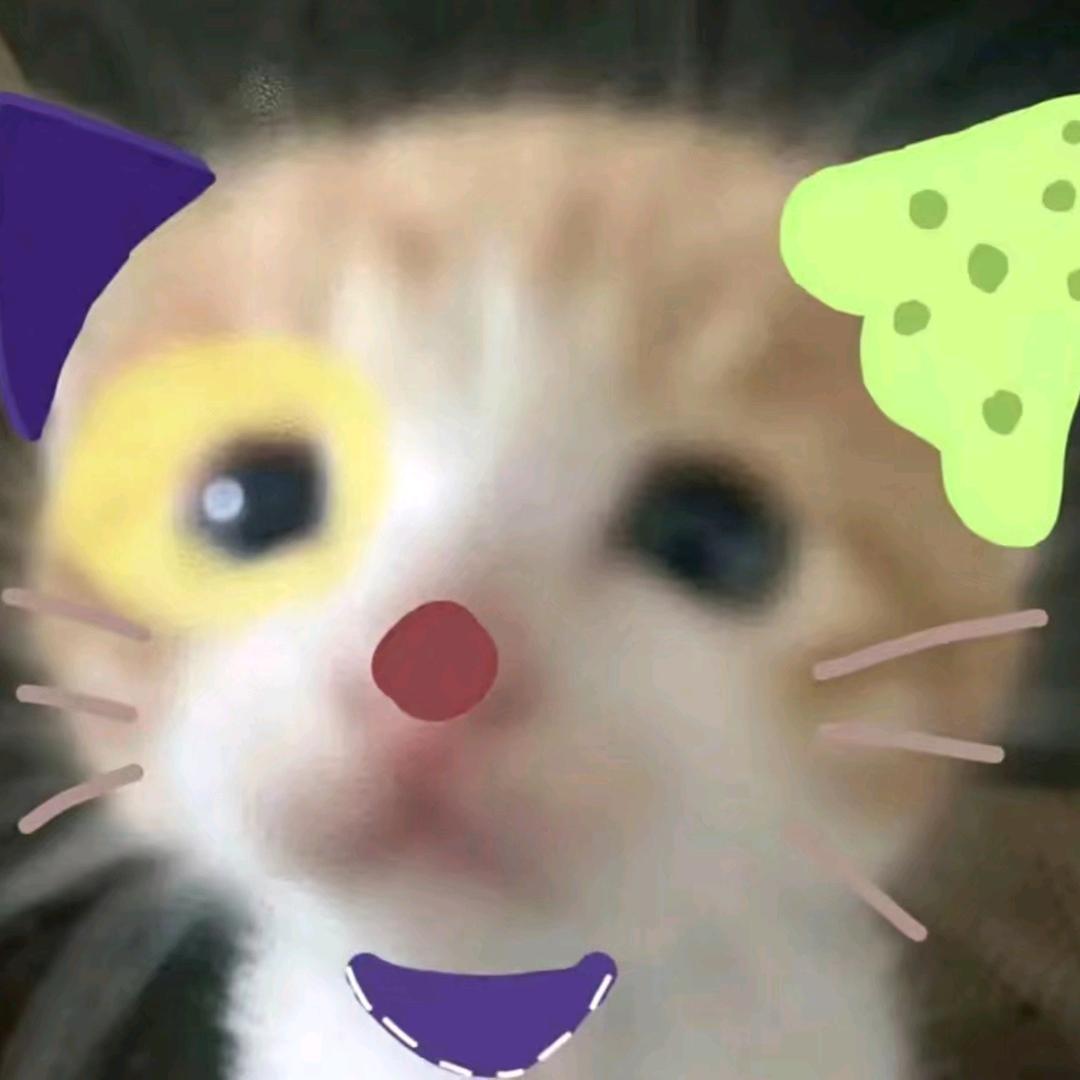 用户5566