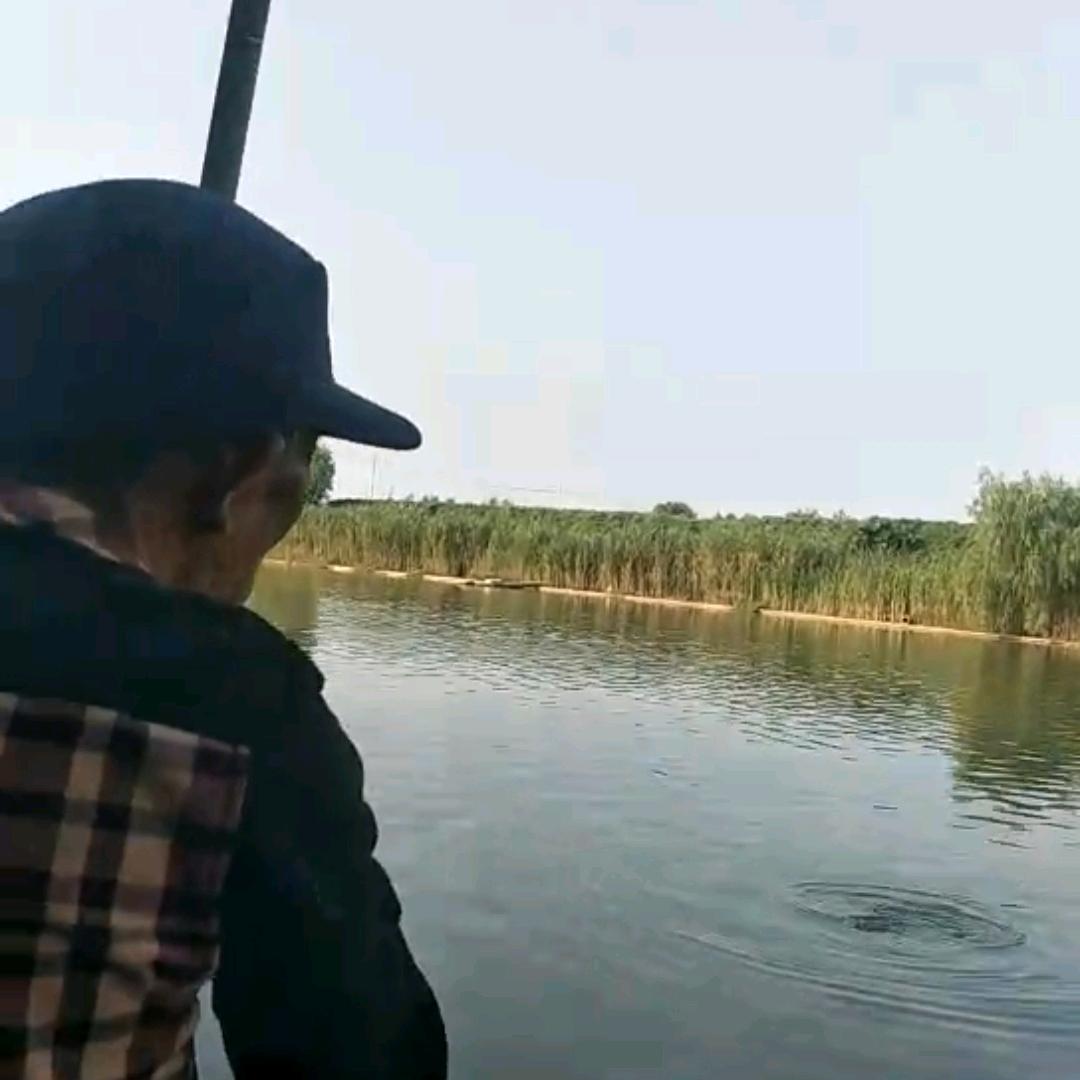 七圩老渔翁野生鱼虾