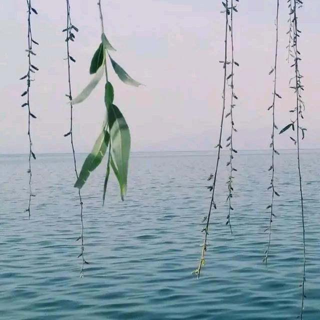 境界