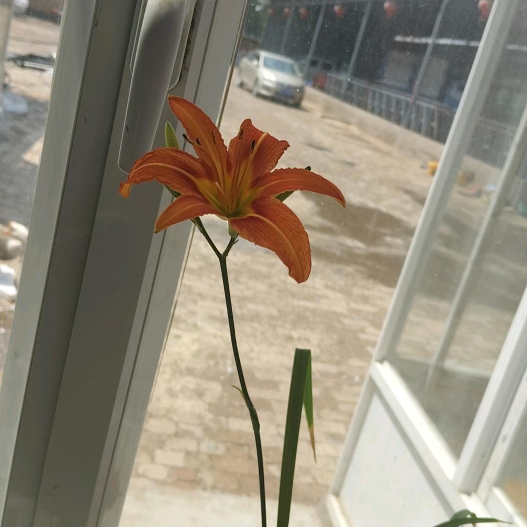 𝙠𝙞𝙩𝙩𝙮齐-