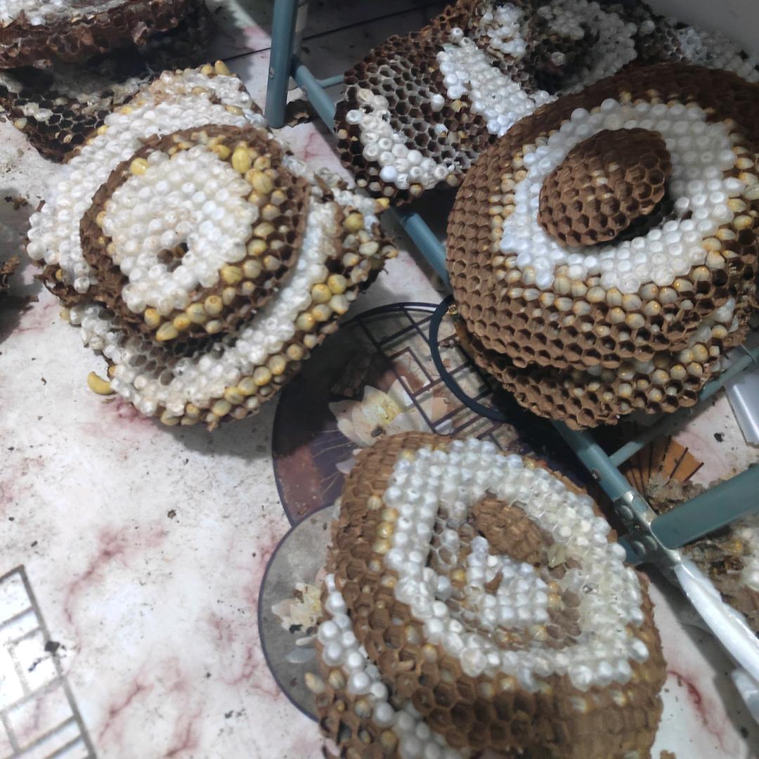 ✨八水蜂包包✨