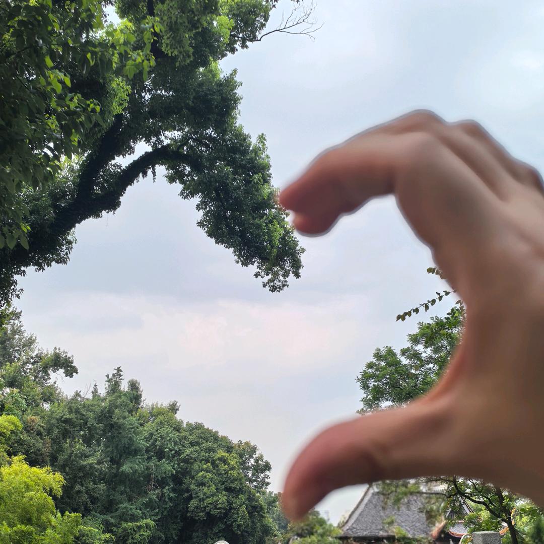 🌈🌈🌈静🌈🌈🌈