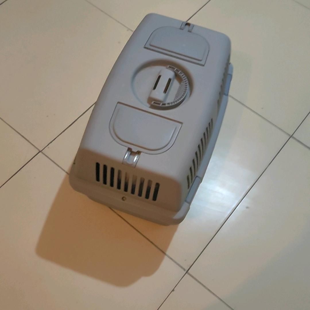 白宠