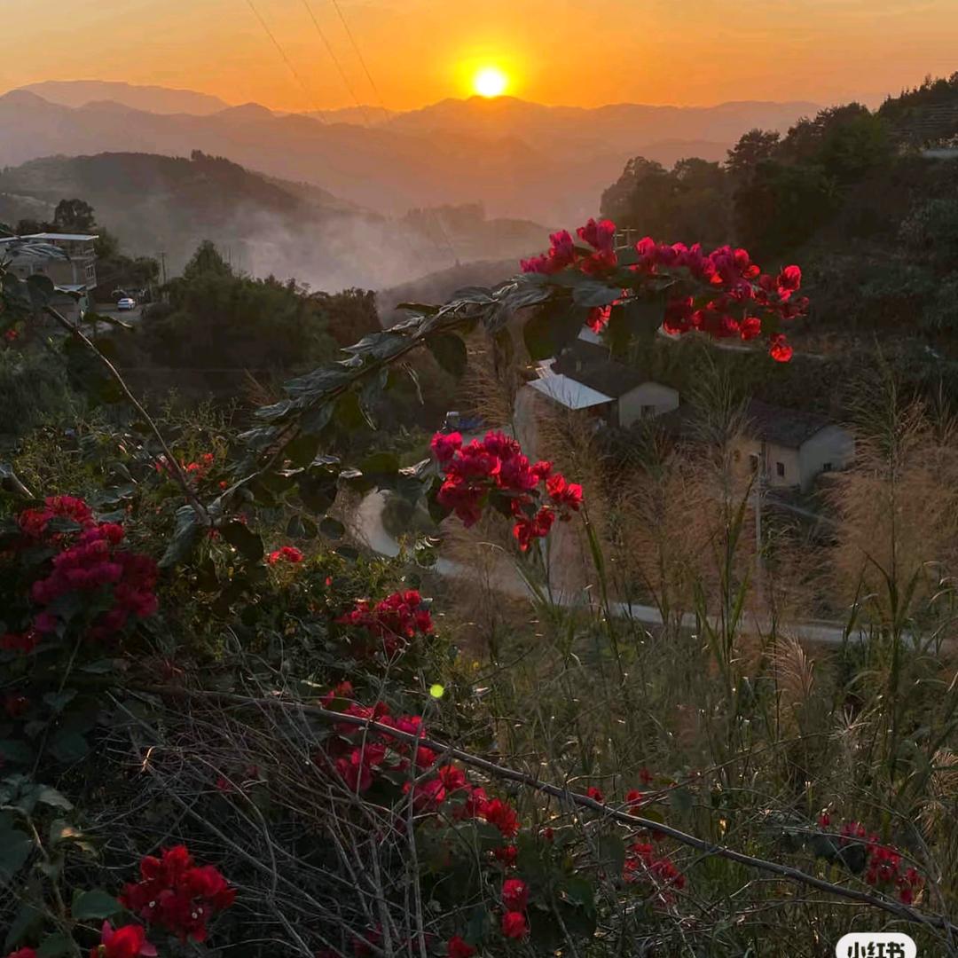 璐璐国画山水画