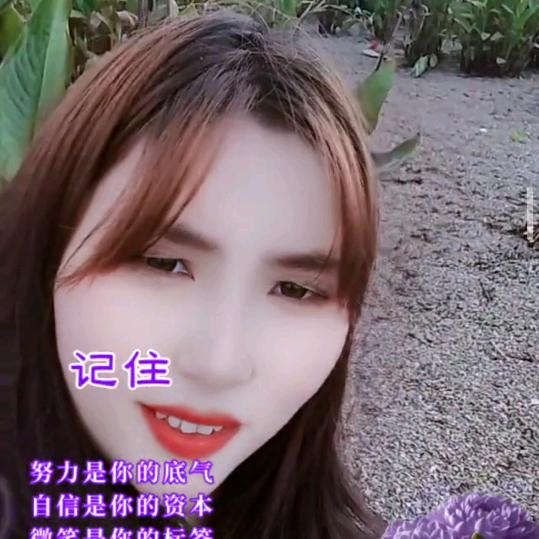 风里往来单身妹子