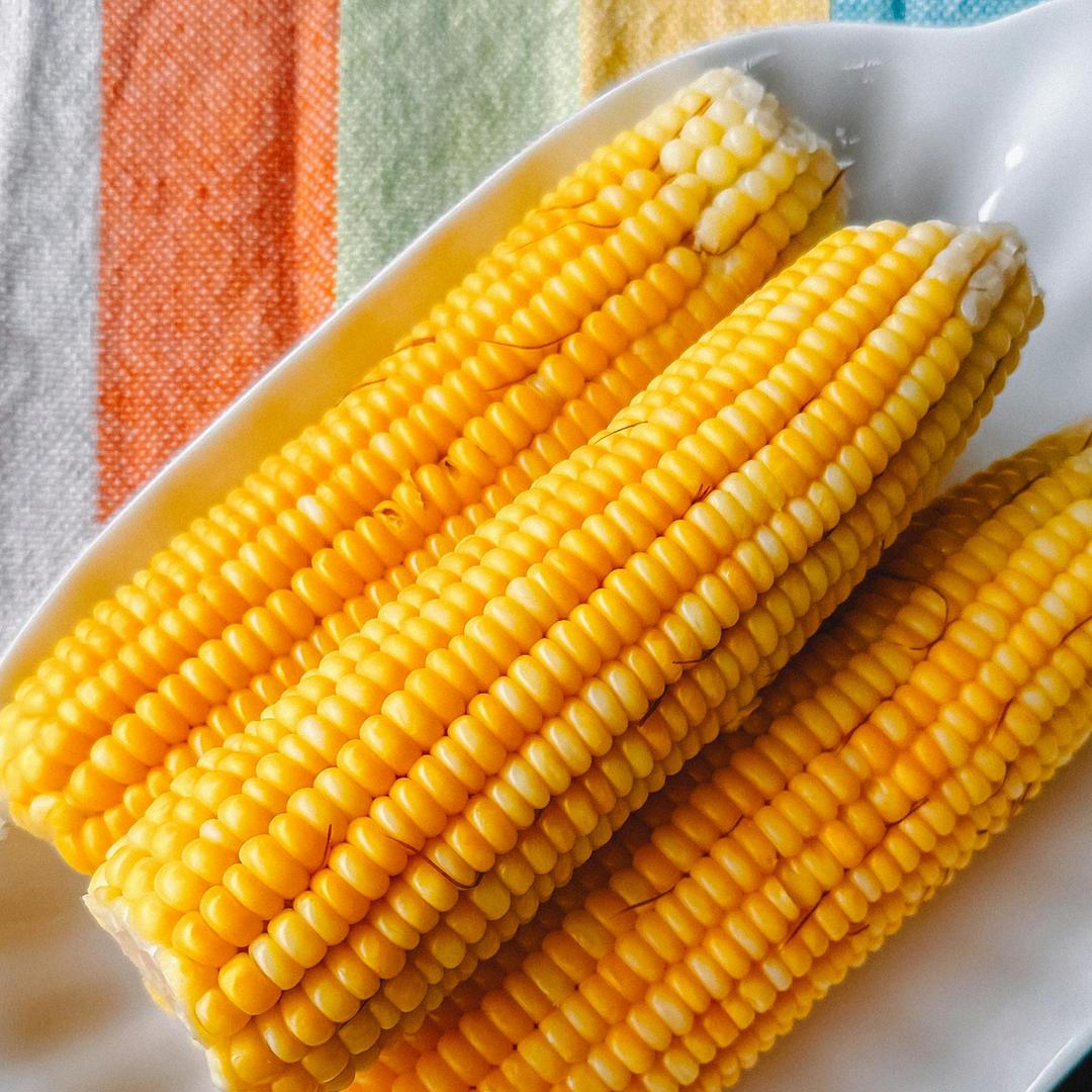食粒乡