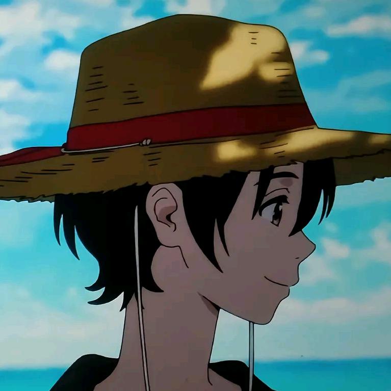 可恶，这可不是路飞啊！！！