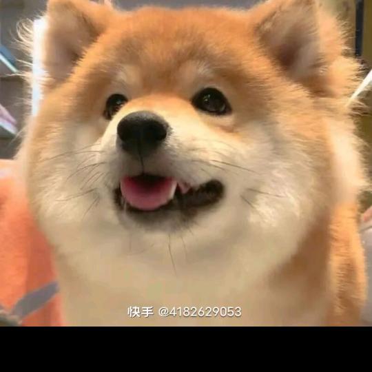 时间旅行者
