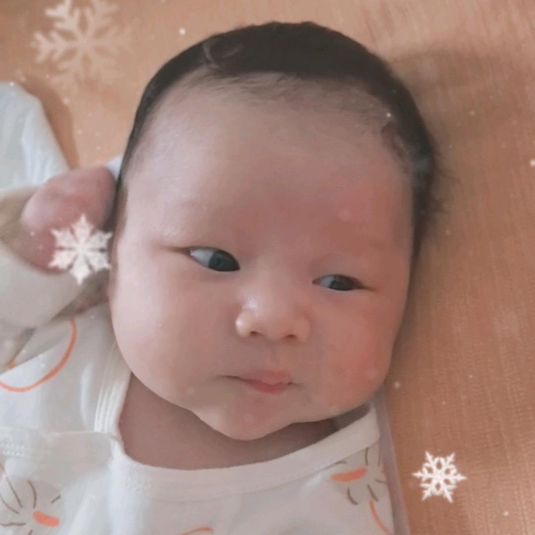 小晖晖