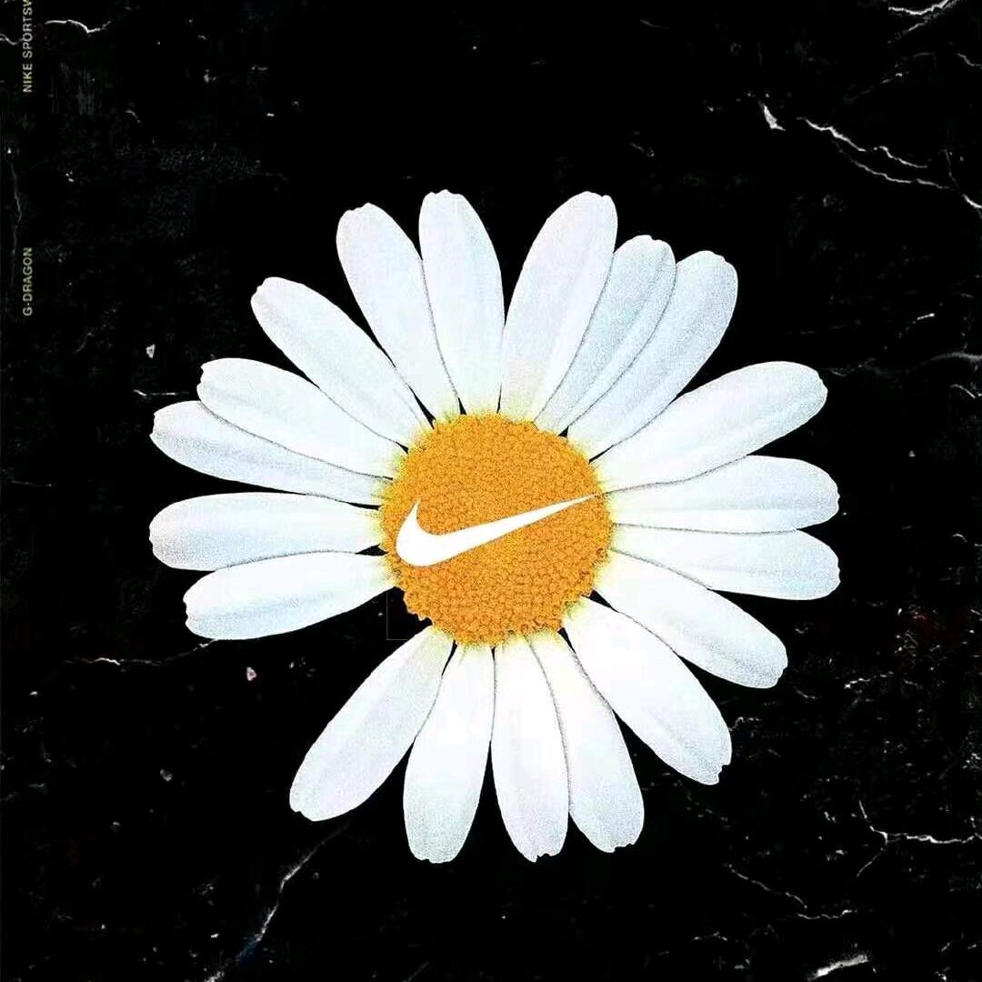金铲铲褚赢