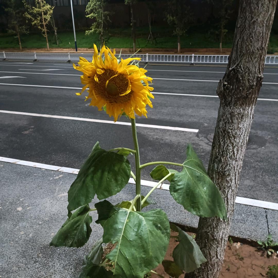 人呢一生太多的心里话，不知道跟谁聊啊。