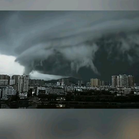 张保山