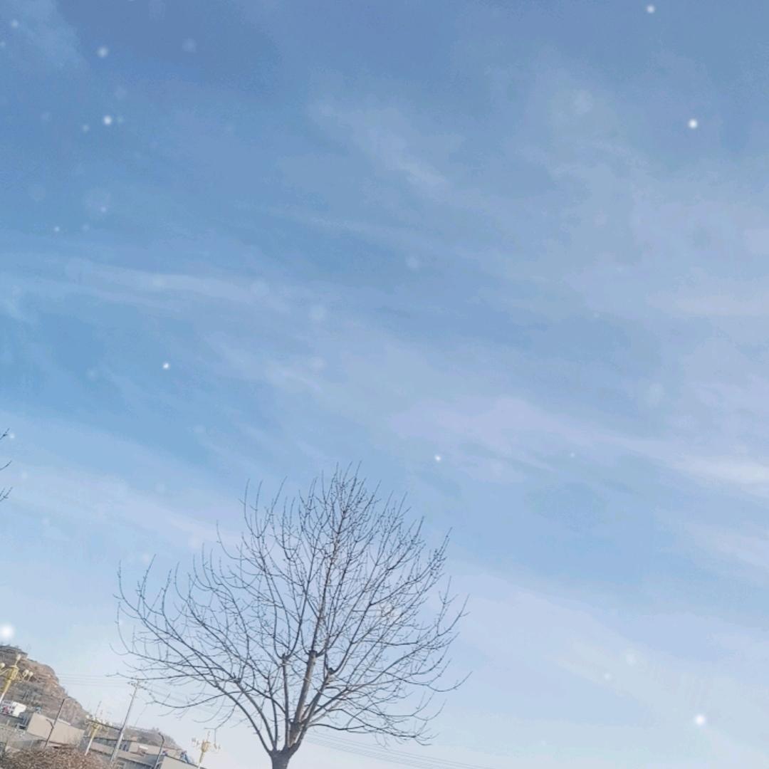 芽芽乐
