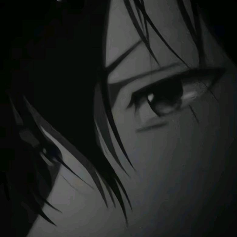 真相QAQ
