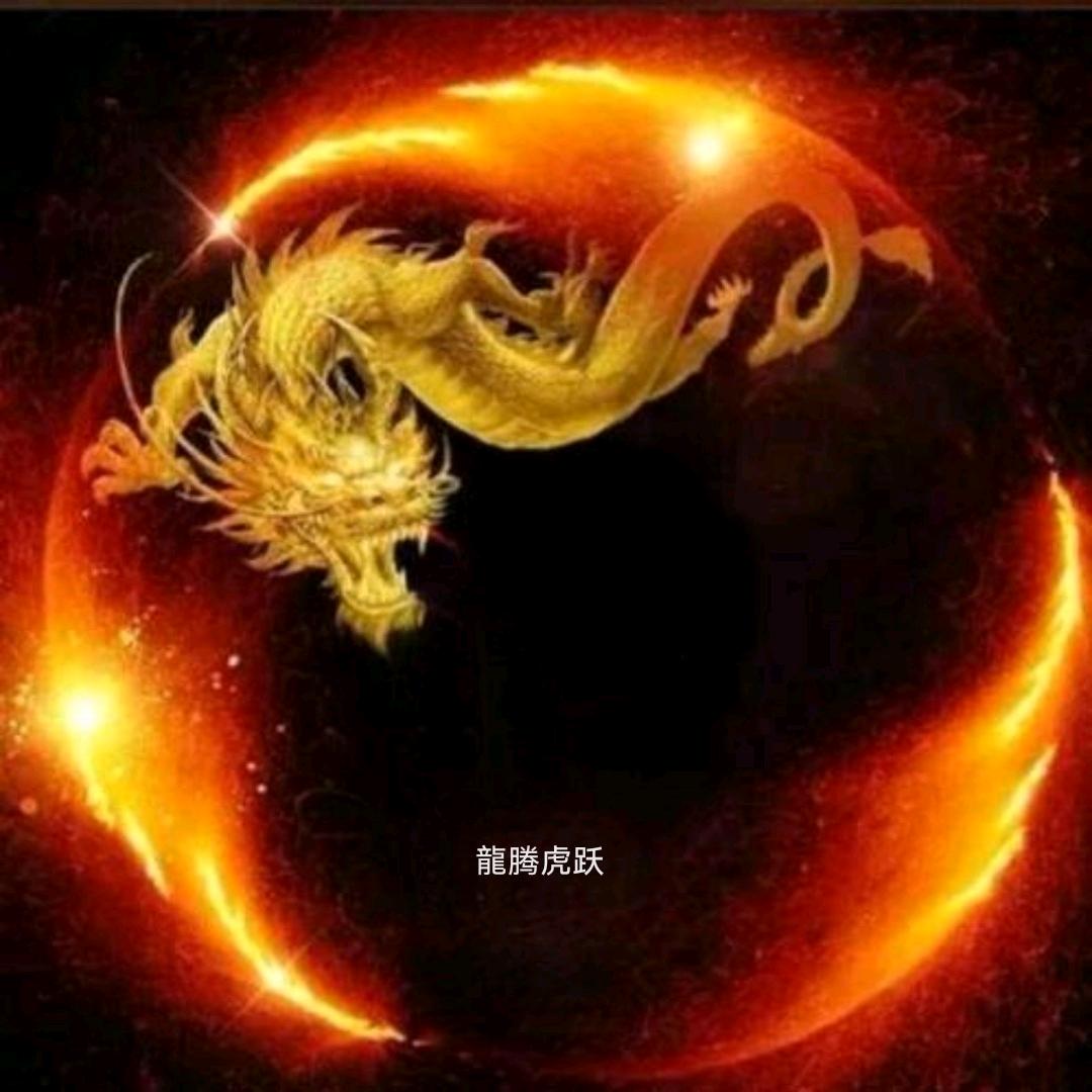 龍腾虎跃