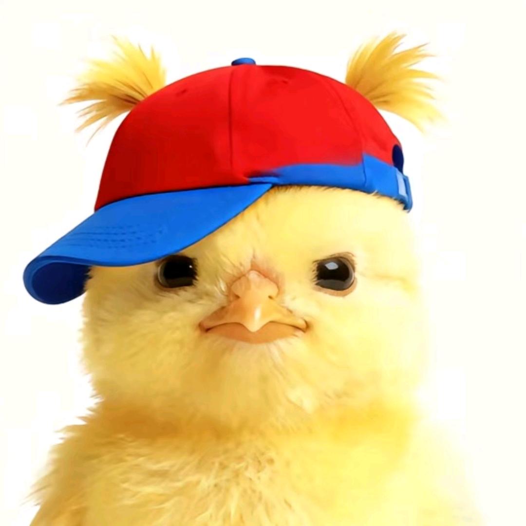 扶老奶奶闯红灯