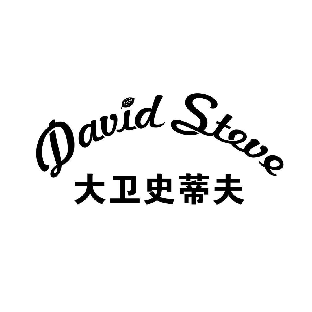 大卫史蒂夫源头店