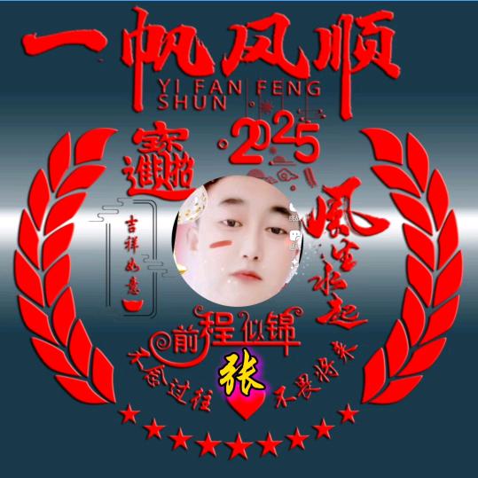 勇往直前ZST