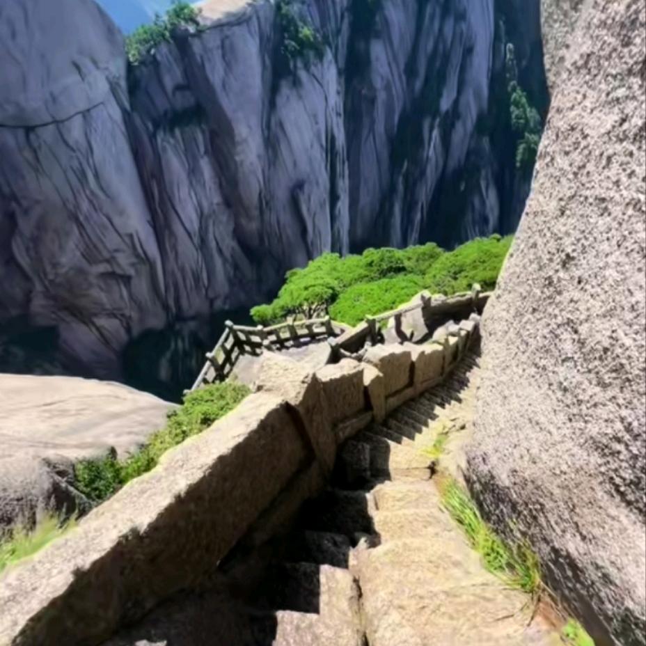 未见青山老