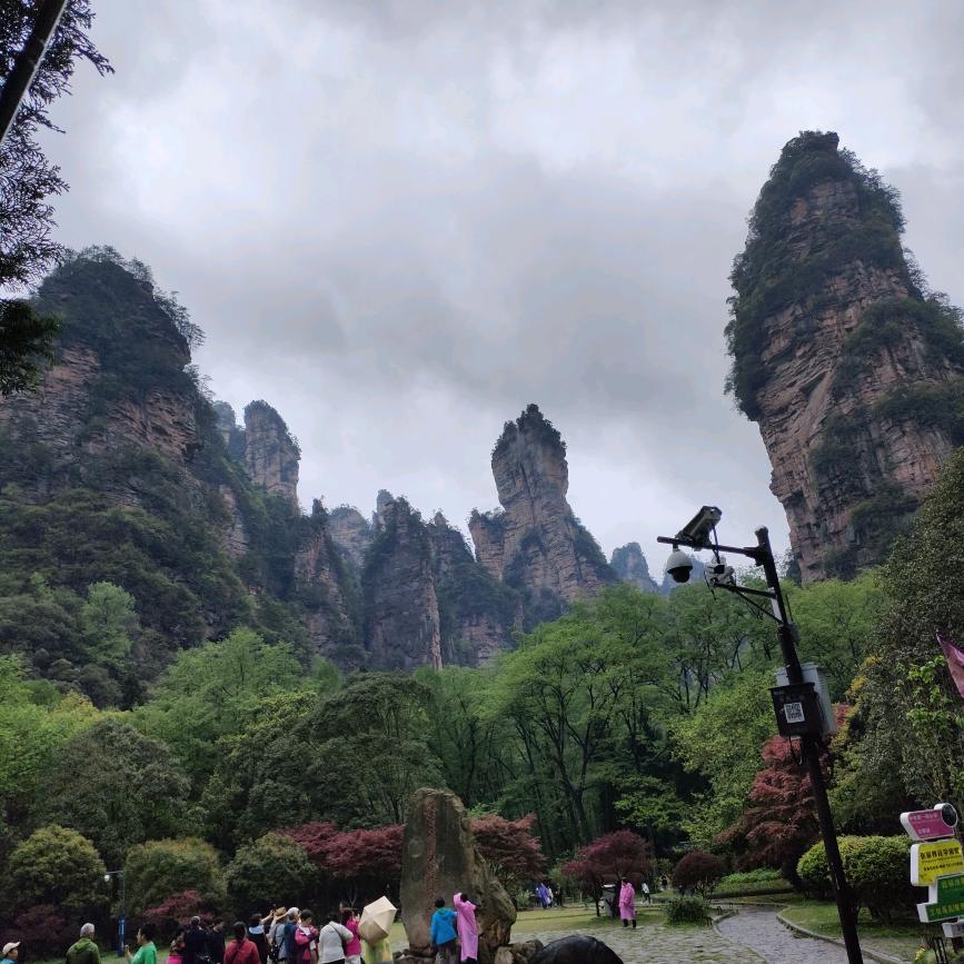 雅艺斯萨克斯厂家售后