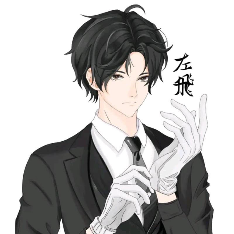 左少帅